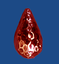 bd263cu