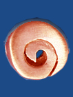 bd276lcu
