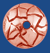 ca272cu