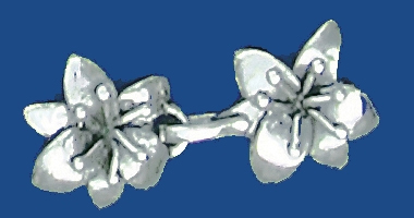 cl192