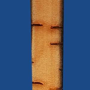 FBRK10BOR