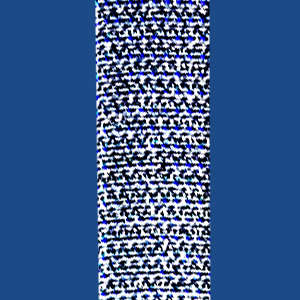FIF10PW