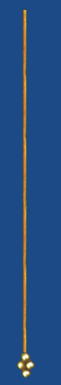hd1v