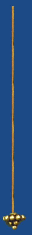 s21v