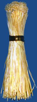 s26-2.0v
