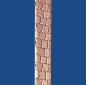 GRECO5RGLD
