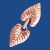 cl178cu_1471811358