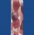 FWC10PT