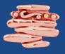 bd306cu