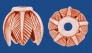 ca305cu