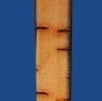 FBRK10BOR