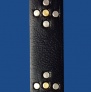 FISD10BK