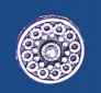 g21